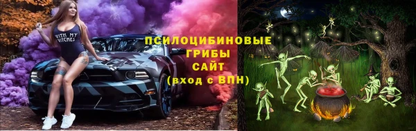 прущий лед Верея